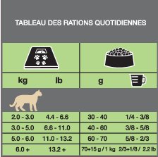 Tableau des ratios quotidienne