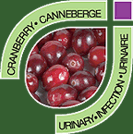Ingrdients - Canneberge
