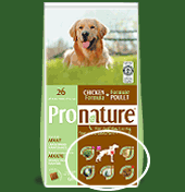 Nourriture chien