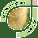 Ingrdients lcithine