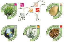 Nourriture chien - Ingrdients